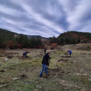 WhatsApp Image 2025-12-08 at 14.13.44