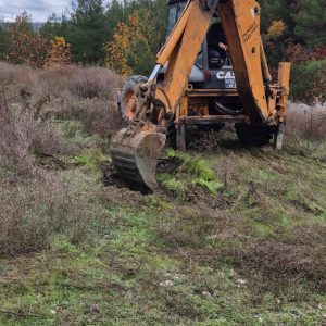 WhatsApp Image 2025-12-08 at 14.13.45