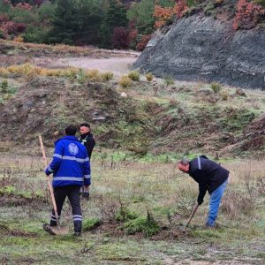 WhatsApp Image 2025-12-08 at 14.13.46