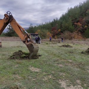 WhatsApp Image 2025-12-08 at 14.13.50