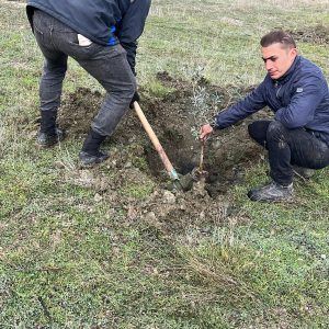 WhatsApp Image 2025-12-08 at 14.13.51