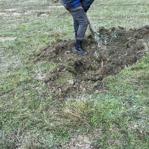 WhatsApp Image 2025-12-08 at 14.13.52