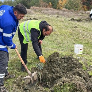 WhatsApp Image 2025-12-08 at 14.13.55