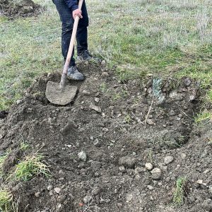 WhatsApp Image 2025-12-08 at 14.13.56