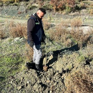 WhatsApp Image 2025-12-08 at 14.13.57